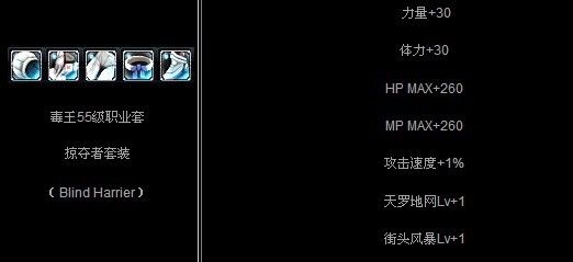 毒王55级职业套：掠夺者套装